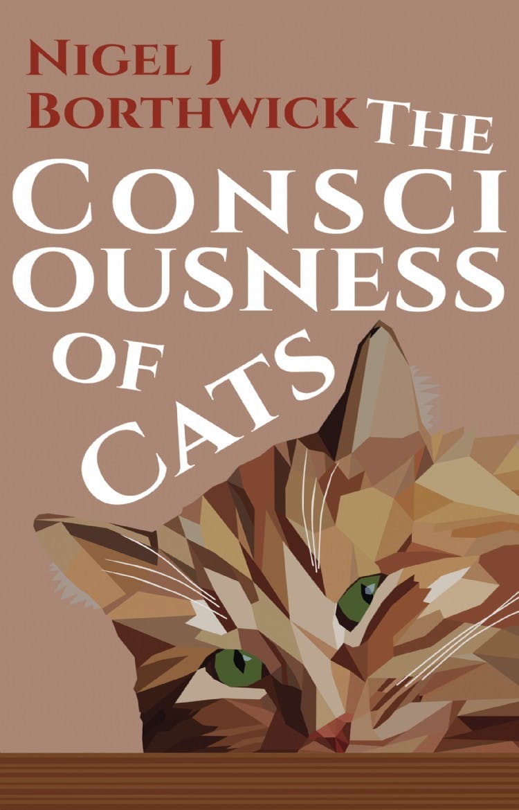 The Consciousness of Cats
