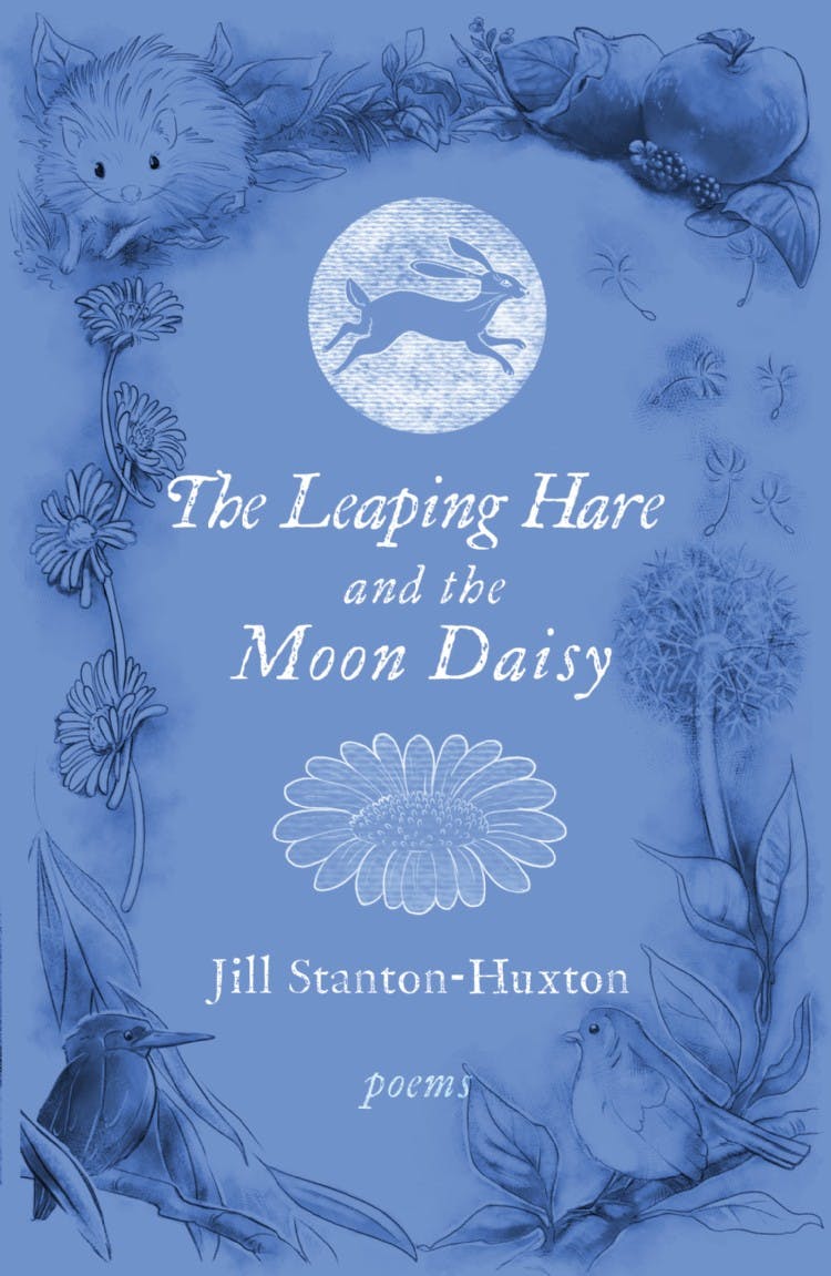 The Leaping Hare and the Moon Daisy