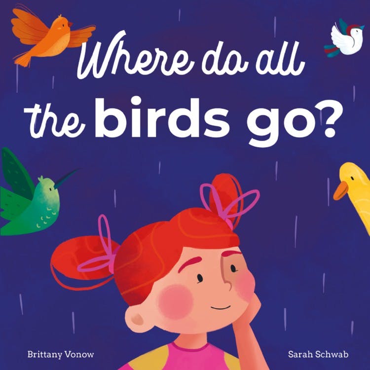 Where Do All The Birds Go?