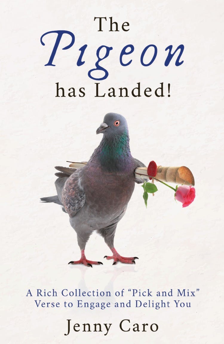 The Pigeon has Landed!
