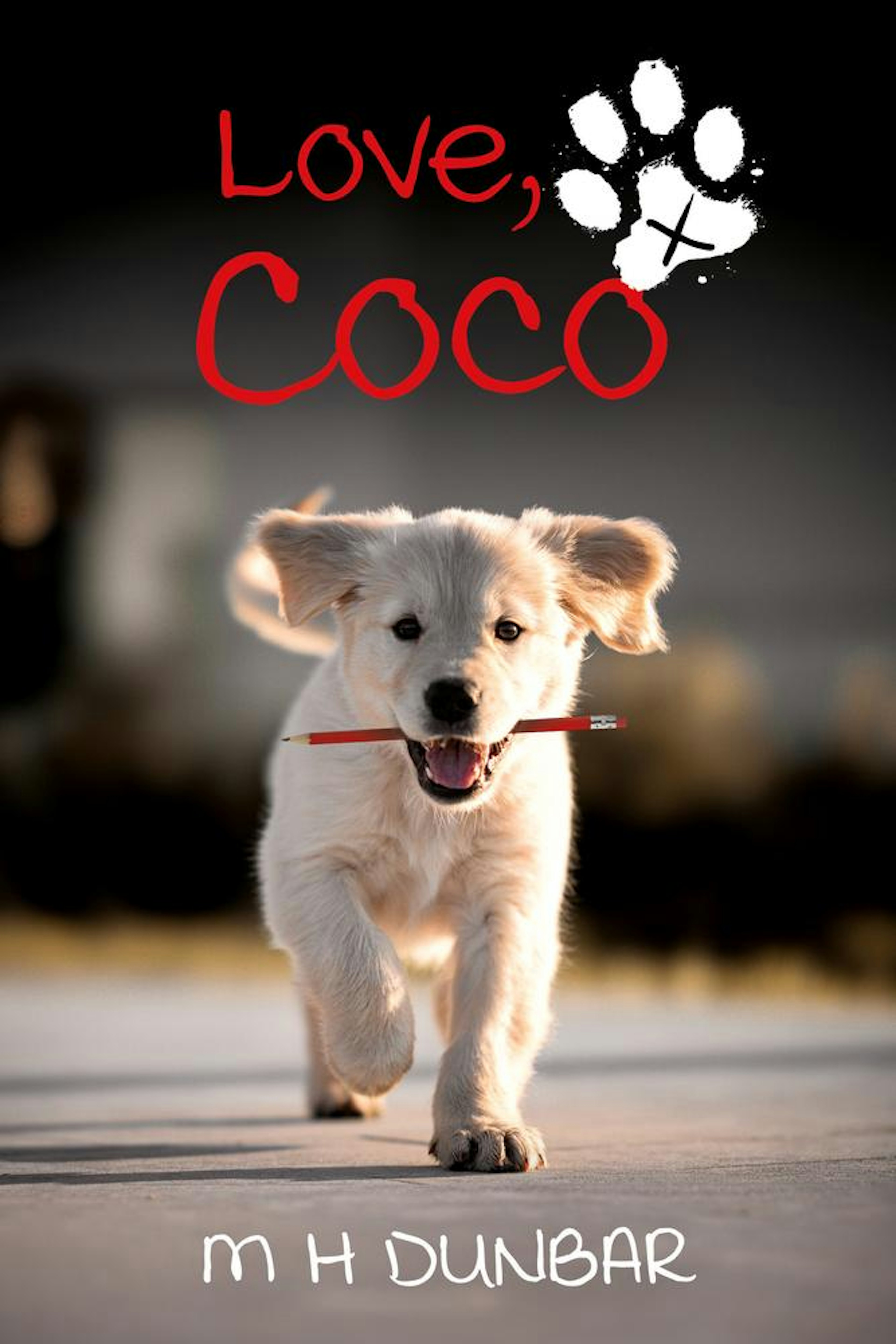 Love, Coco x