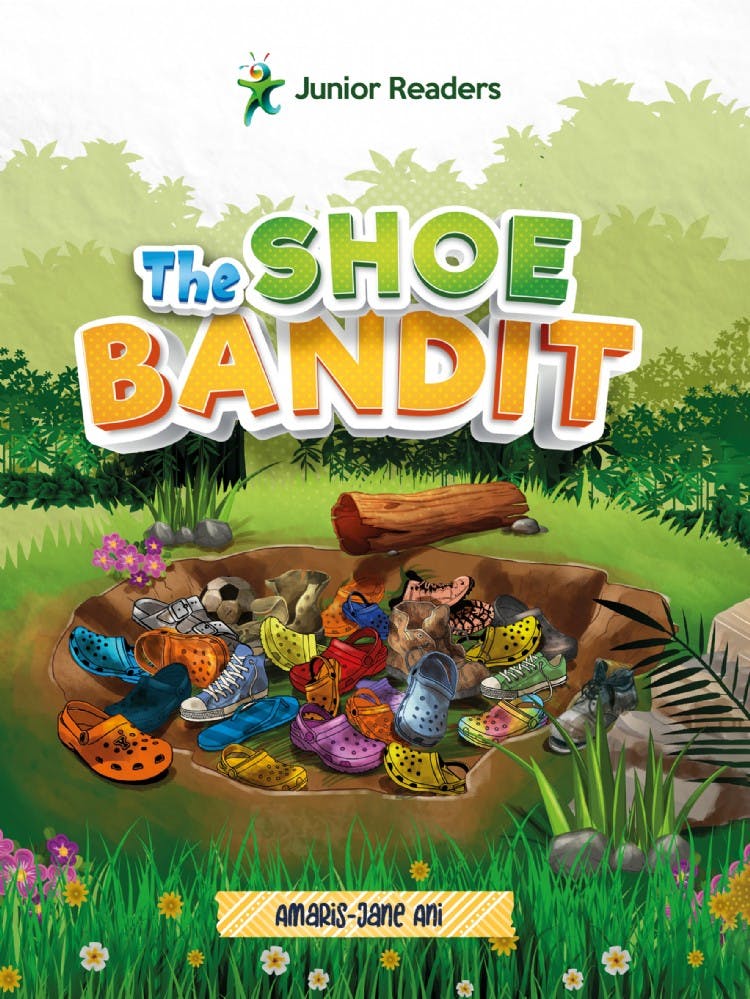 The Shoe Bandit